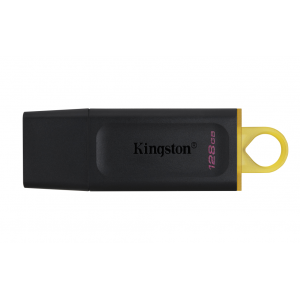 USB 3.2 KINGSTON 128 GB...