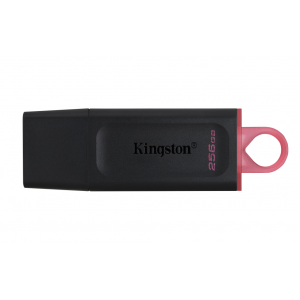 USB 3.2 KINGSTON 256 GB...