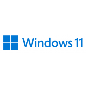 MS WINDOWS 11 HOME 64B DSP